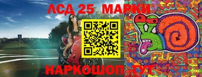 ешки Новодвинск