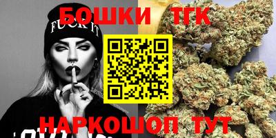 ешки Новодвинск